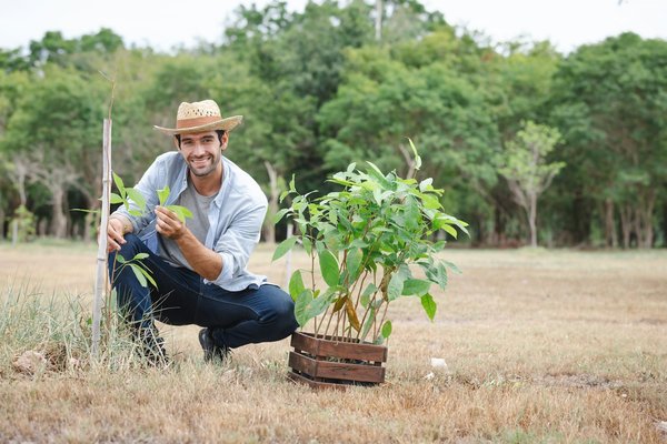 Top Techniques for Lowering Carbon Emissions in Classic UK-Made Cars: A Comprehensive Guide