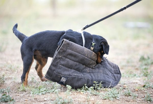 Essential Tips for Securely Transporting Your Electronic Devices in Vehicles